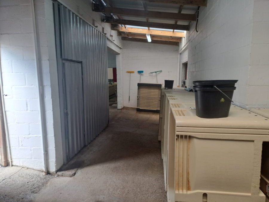 Commercial Property for Sale in Kleinmond Western Cape